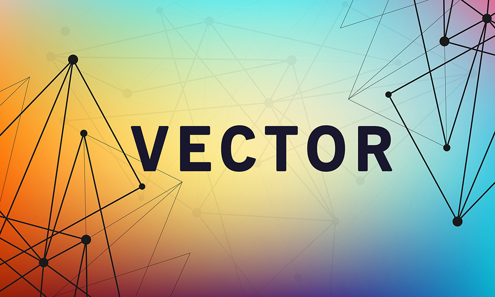 What is vector?